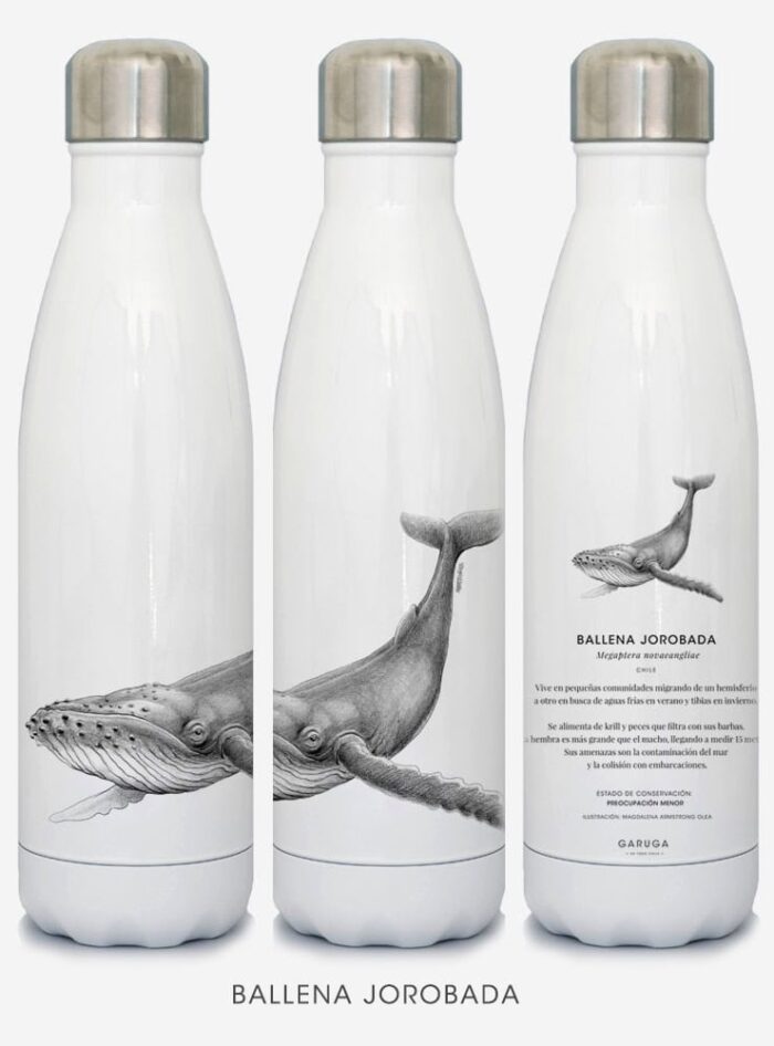 Botella Térmica - Ballena jorobada