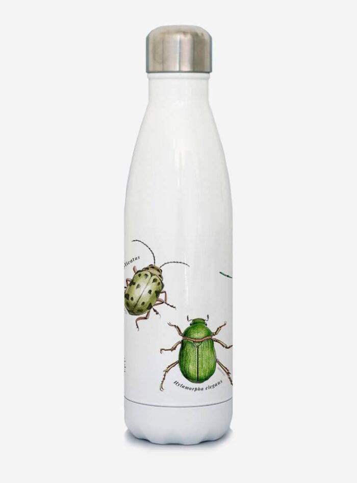 Botella Térmica - Insectos