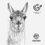 Totebag - Guanaco