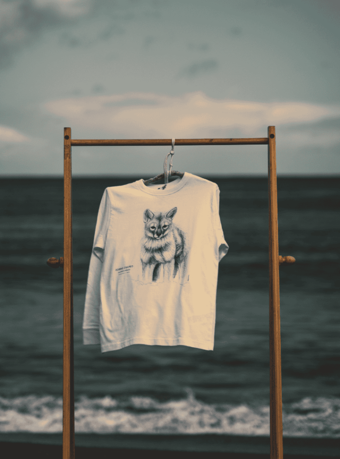 Polera Niñ@ Manga larga- Chucao