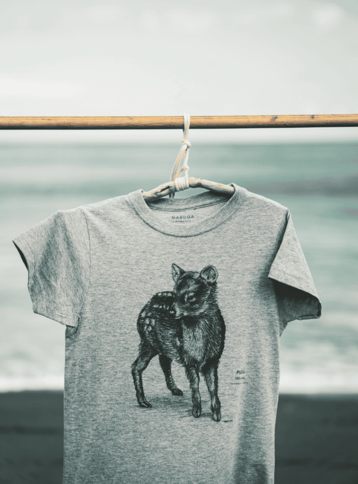Polera Niño - Insectos de Chile