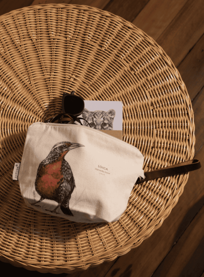 Neceser - Mariposa del Chagual