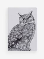 Pack 4 Libretas