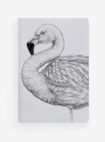Pack 4 Libretas