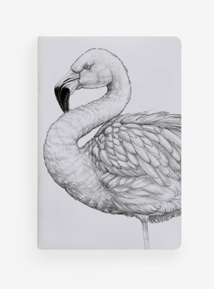 Pack 4 Libretas