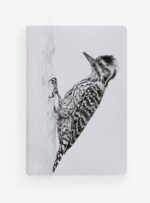 Libreta - Carpinterito