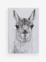 Libreta - Guanaco