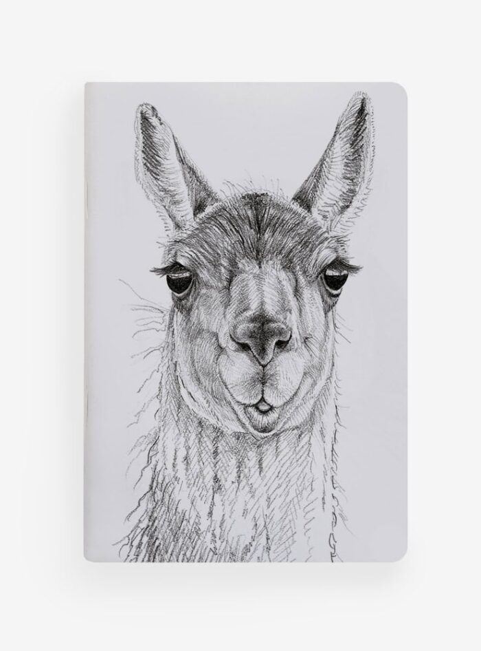 Libreta - Guanaco