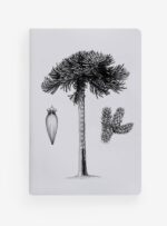 Libreta - Araucaria