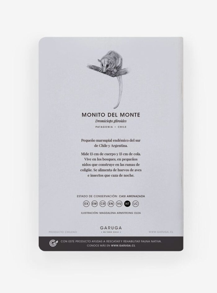Libreta - Monito del monte