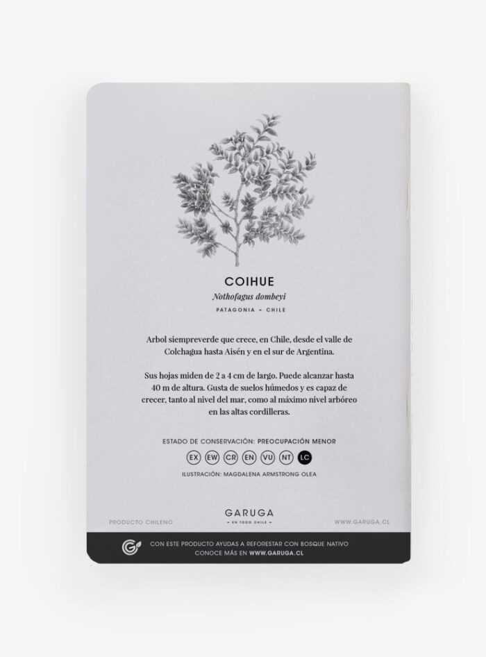 Libreta - Coihue