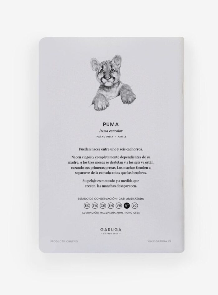 Libreta - Puma Cachorro