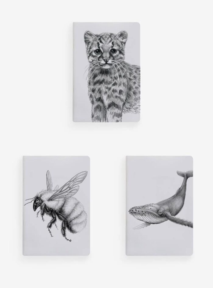 Pack 4 Libretas Bazar 13