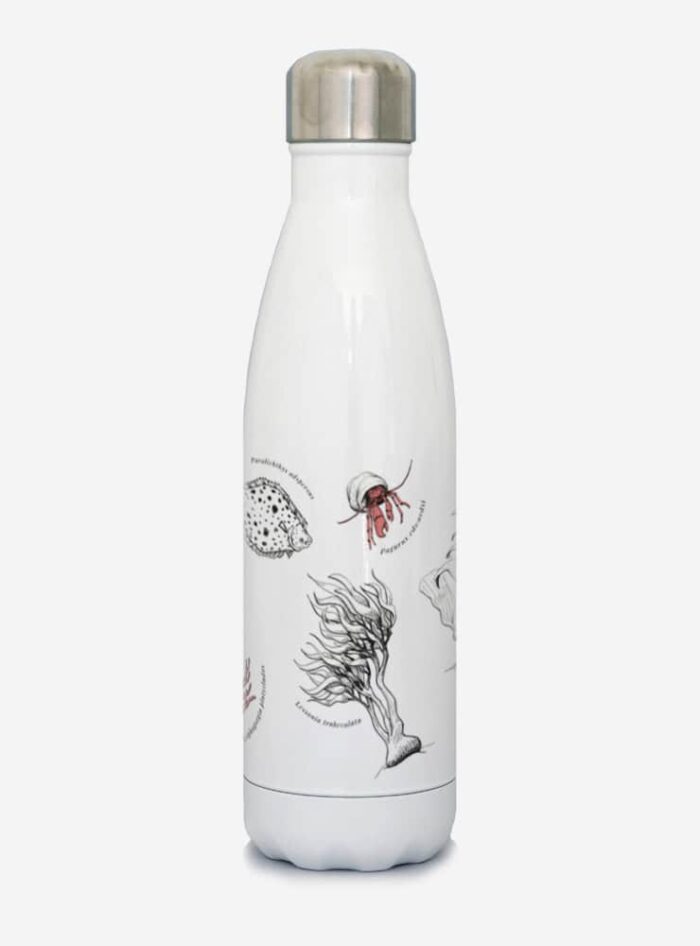 Botella Térmica - Fondo Marino