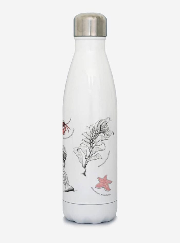 Botella Térmica - Fondo Marino