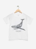Polera Niño - Ballena Jorobada