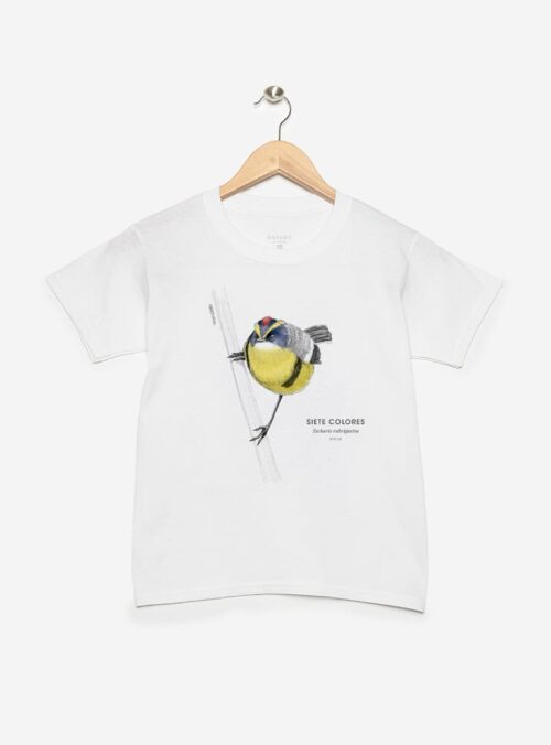 Polera Niño - Siete Colores