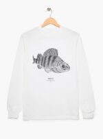 Polera Adulto  Manga Larga - Perca