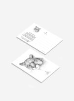 Pack 6 Postales
