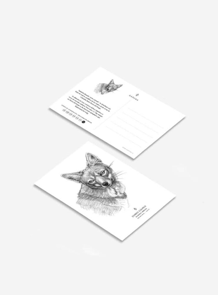 Pack 6 Postales