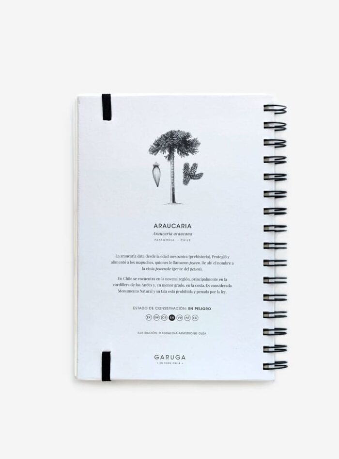 Cuaderno Araucaria