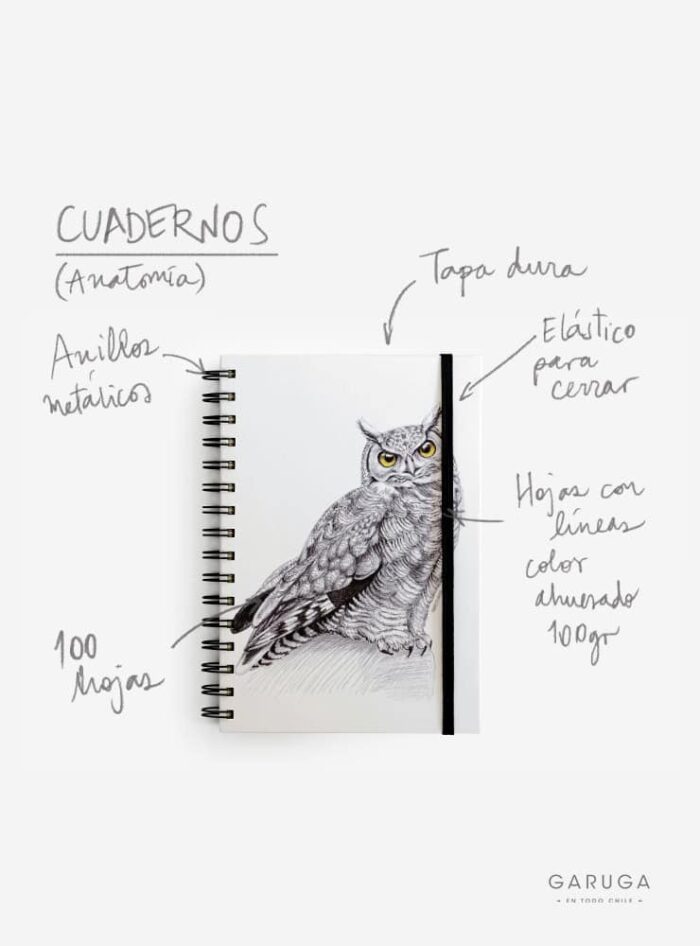 Cuaderno Abejorro