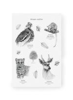 Pack Stickers