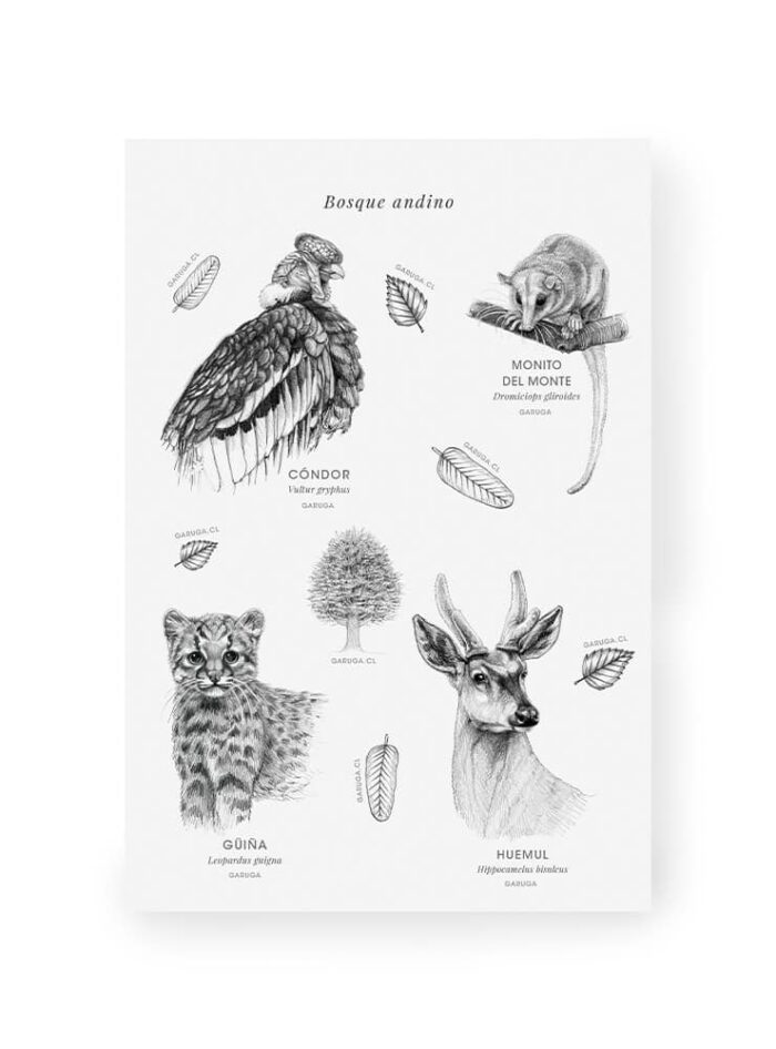Pack Stickers
