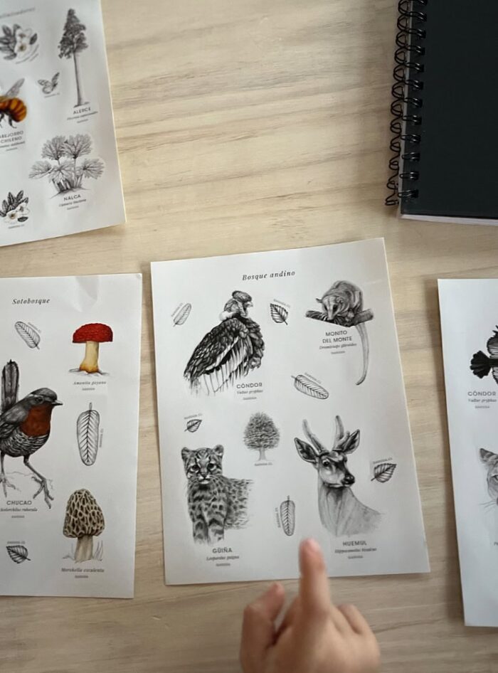 Pack Stickers