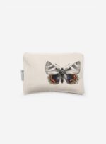 Estuche - Mariposa del Chagual