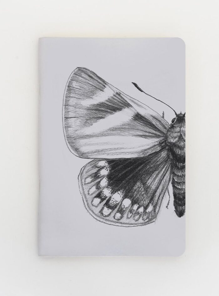 Pack 2026 organizado