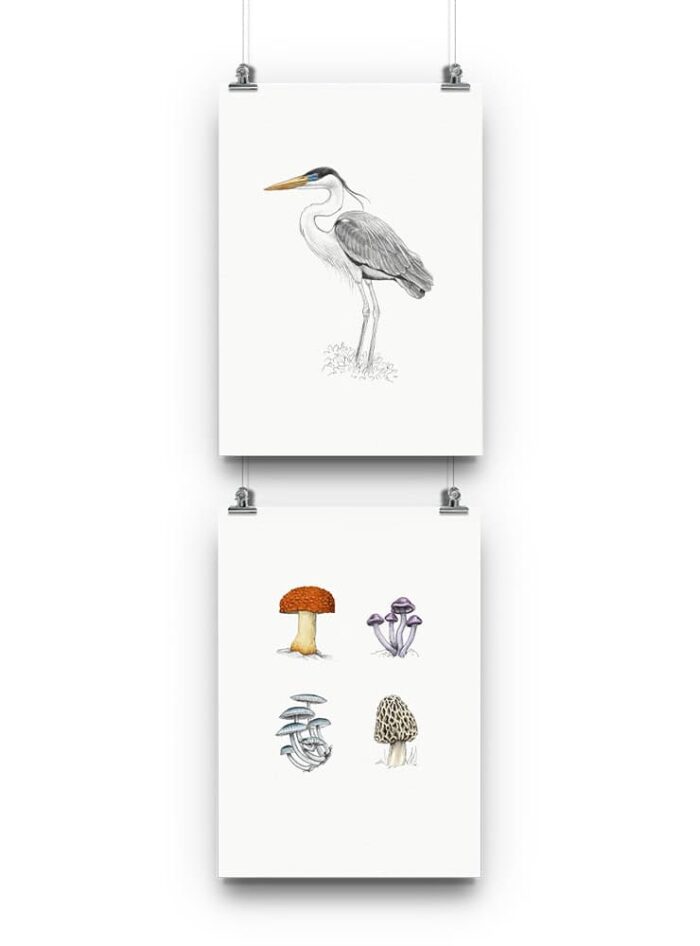 Pack 2 láminas para enmarcar