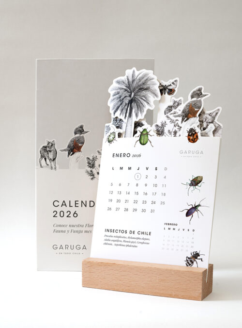 calendario 2026_0001_5