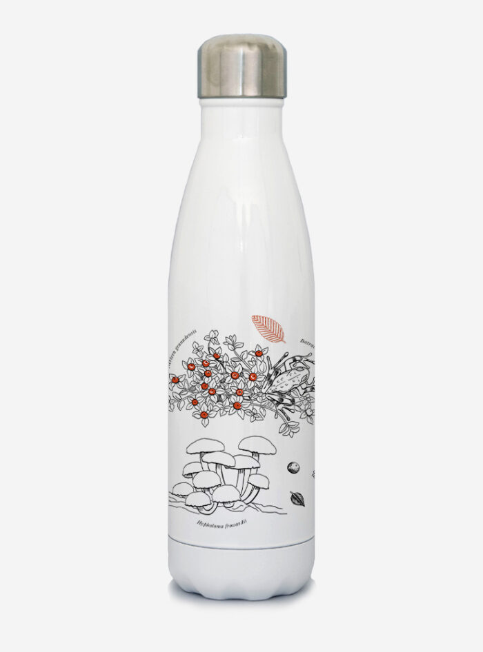 Botella Térmica - Sotobosque