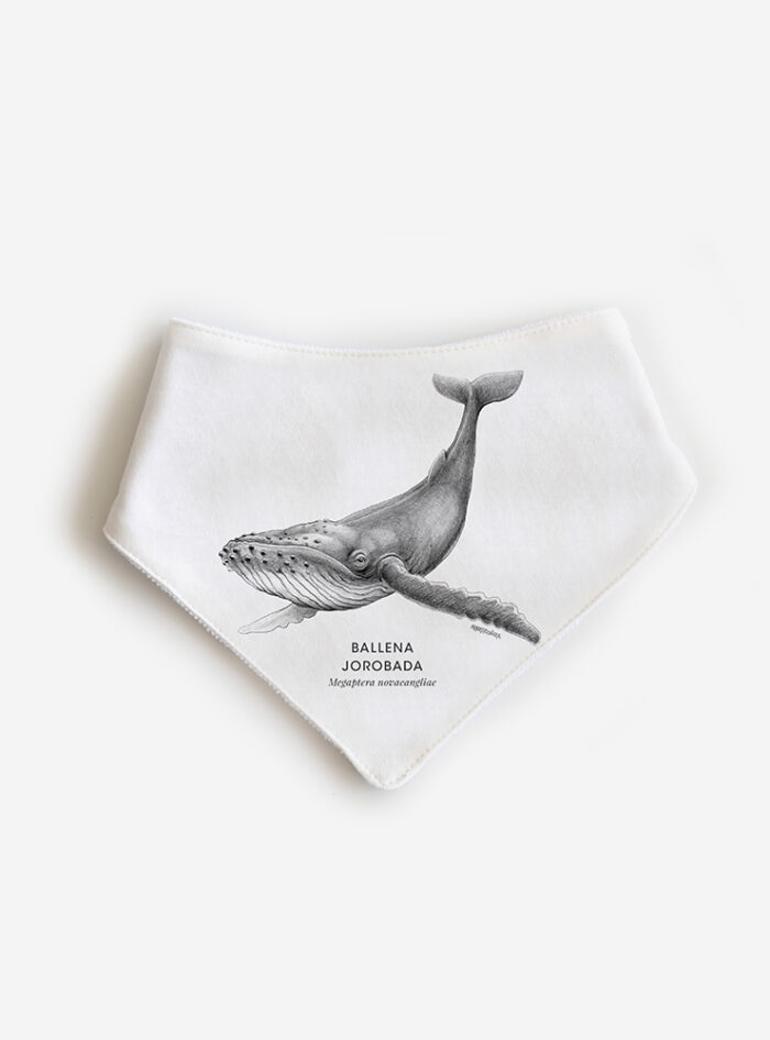 Babero Ballena Jorobada