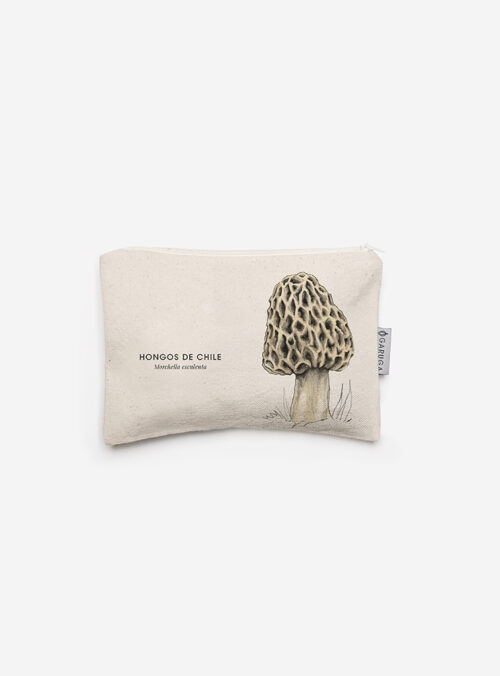 Estuche - Morchella