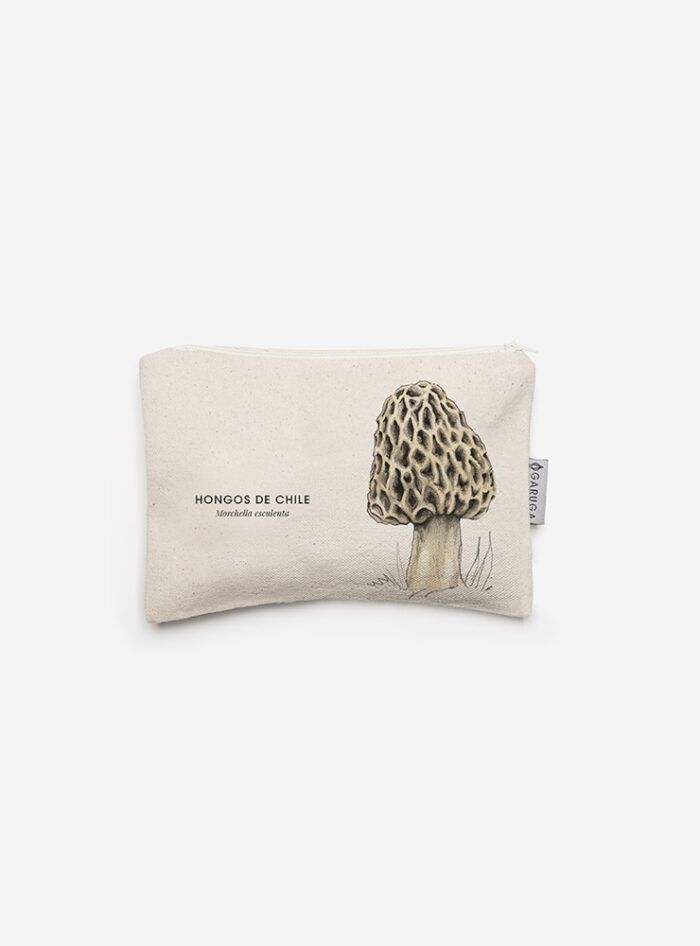 Estuche - Morchella