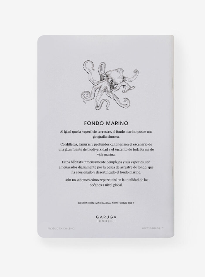 Libreta - Fondo Marino