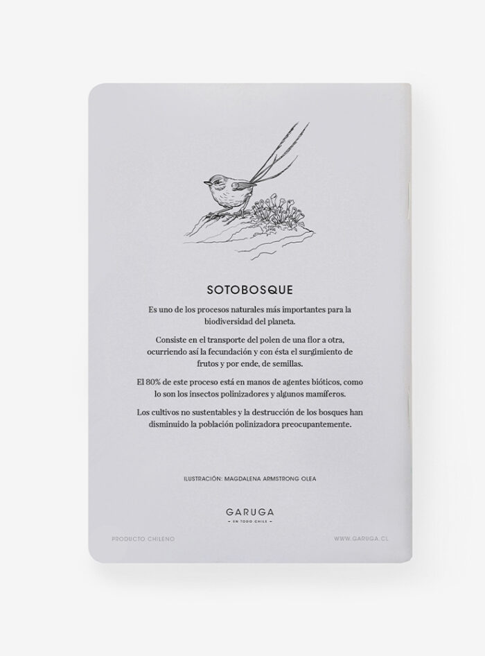 Libreta - Sotobosque