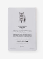 Libreta - Zorro cachorro
