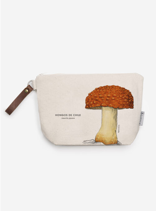 Neceser - Amanita gayana