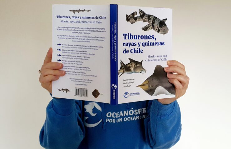 LibroTiburones_Alma_Gartenstein