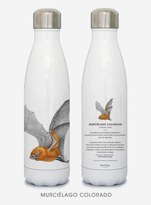 Botella Térmica - Murciélago Colorado