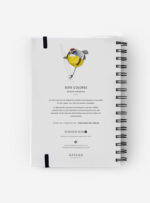 Cuaderno Siete Colores