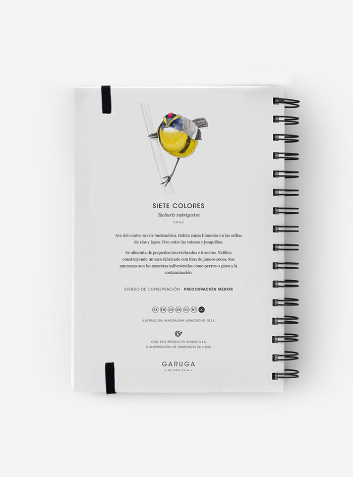 Cuaderno Siete Colores