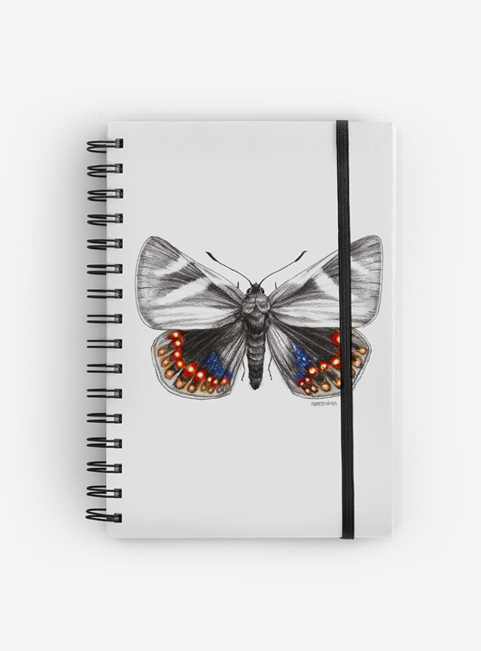 Cuaderno Mariposa del Chagual
