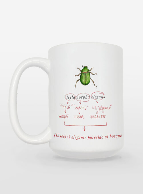 Mega tazon WEB HYL2